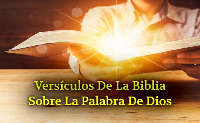 ▷▷ 25+Versículos de la Biblia sobre la Palabra de Dios † Pasajes Biblicos